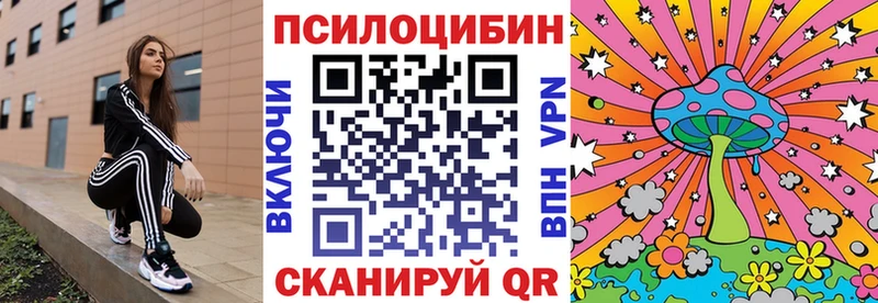 где найти   Волхов  Галлюциногенные грибы MAGIC MUSHROOMS 
