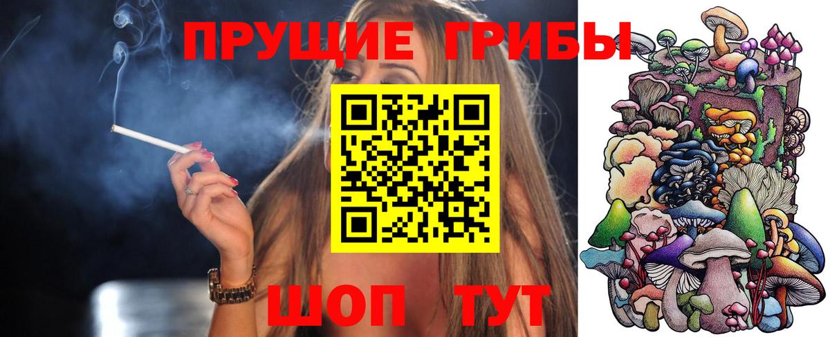 Галлюциногенные грибы прущие грибы Волхов