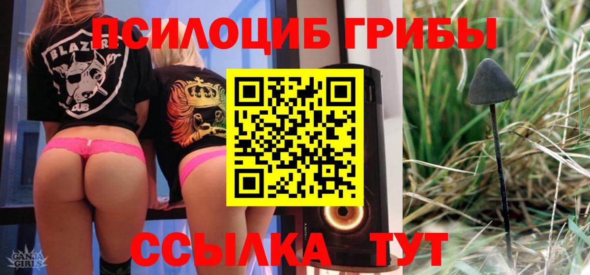 Псилоцибиновые грибы GOLDEN TEACHER  Вход с VPN  Волхов 