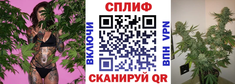 Конопля OG Kush  Волхов 